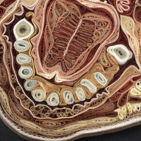 Anatomie d'un ange Anatomie d'un ange