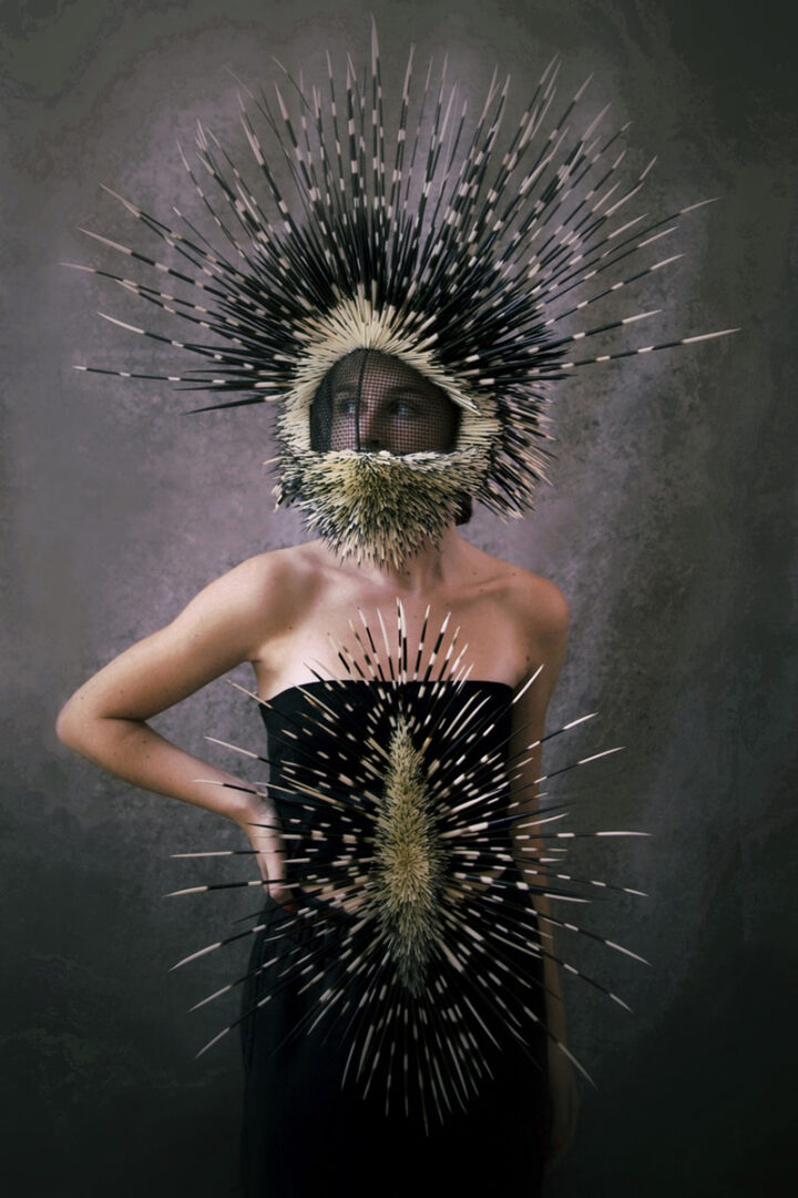Collectif Textile - Melissa Meier