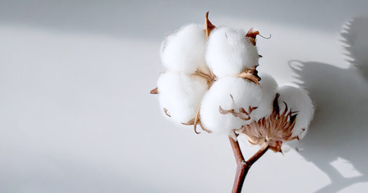 Les Cahiers du textile
