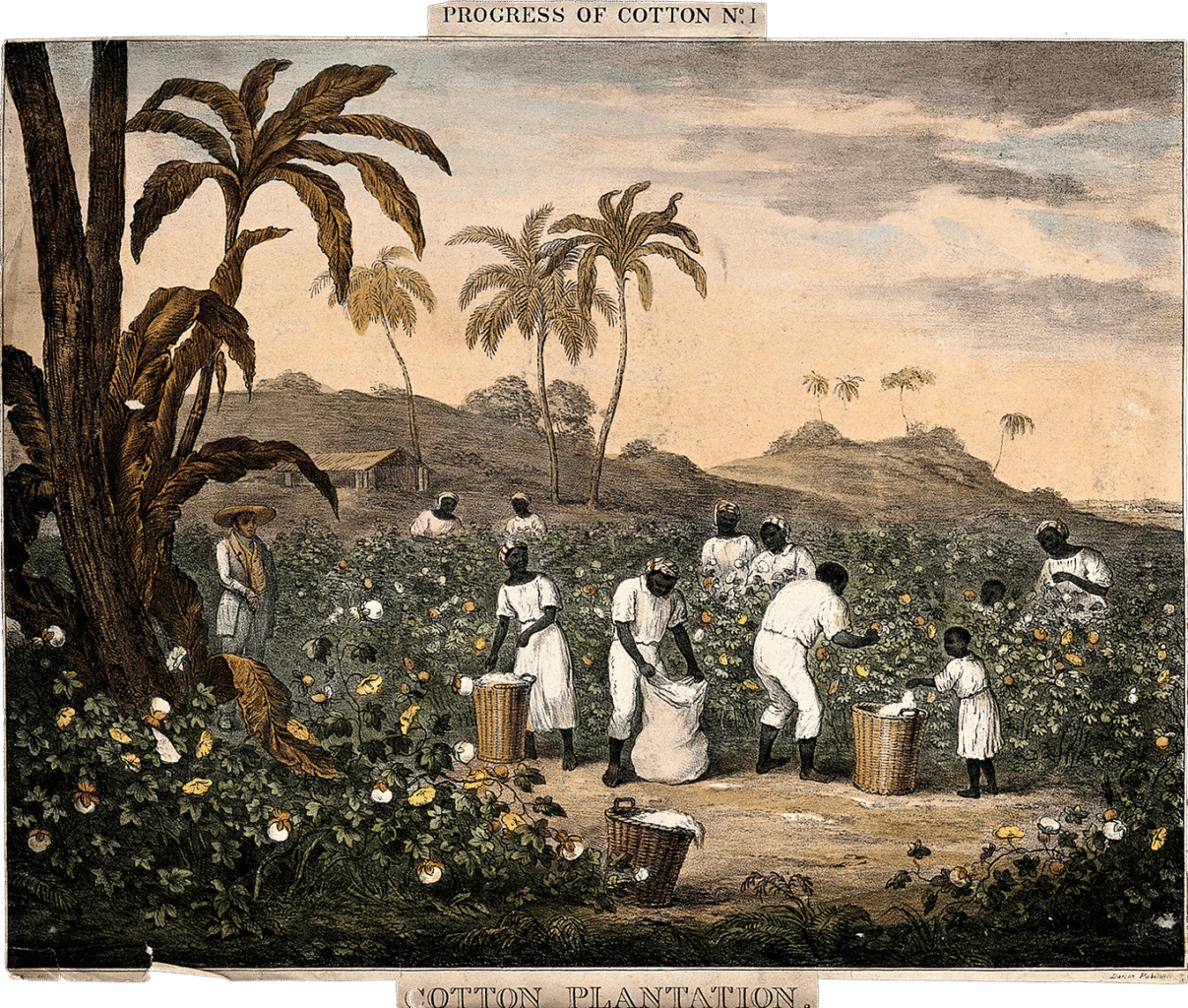 Les textiles qui ont bâti des empires