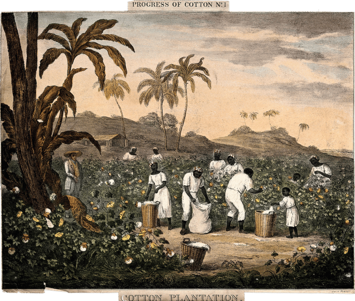 Les textiles qui ont bâti des empires