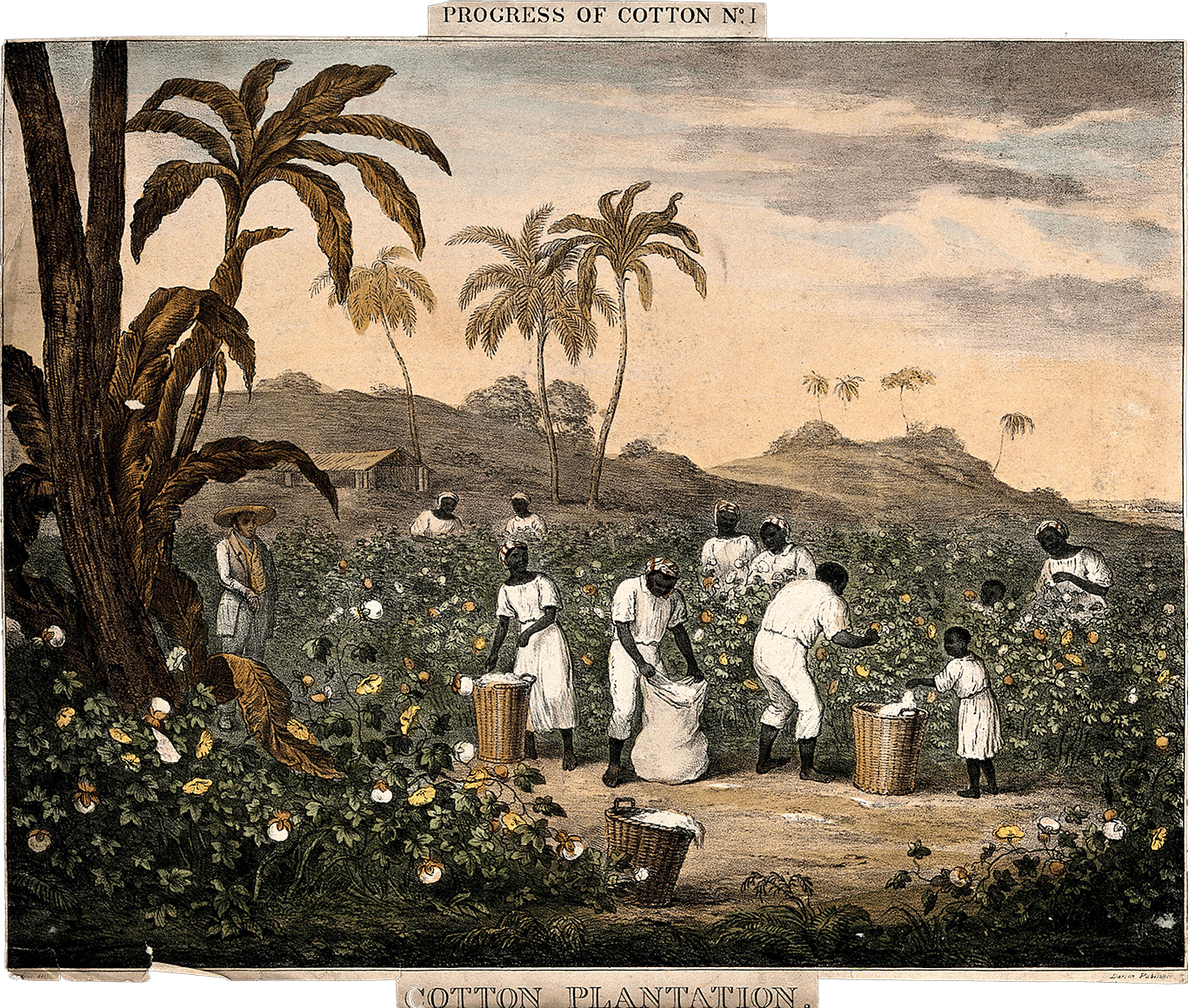 Les textiles qui ont bâti des empires