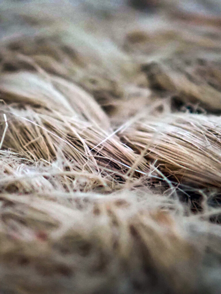 Les textiles et enjeux économiques - Lin
Photo Francesco Ungaro - Pexels