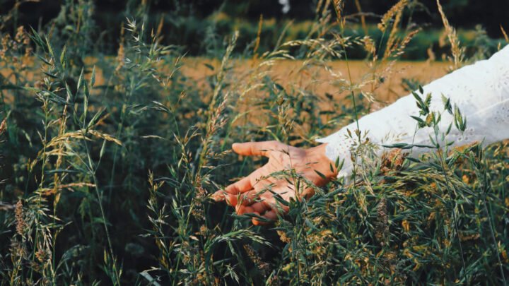 C&rsquo;est quoi la mode régénérative ?